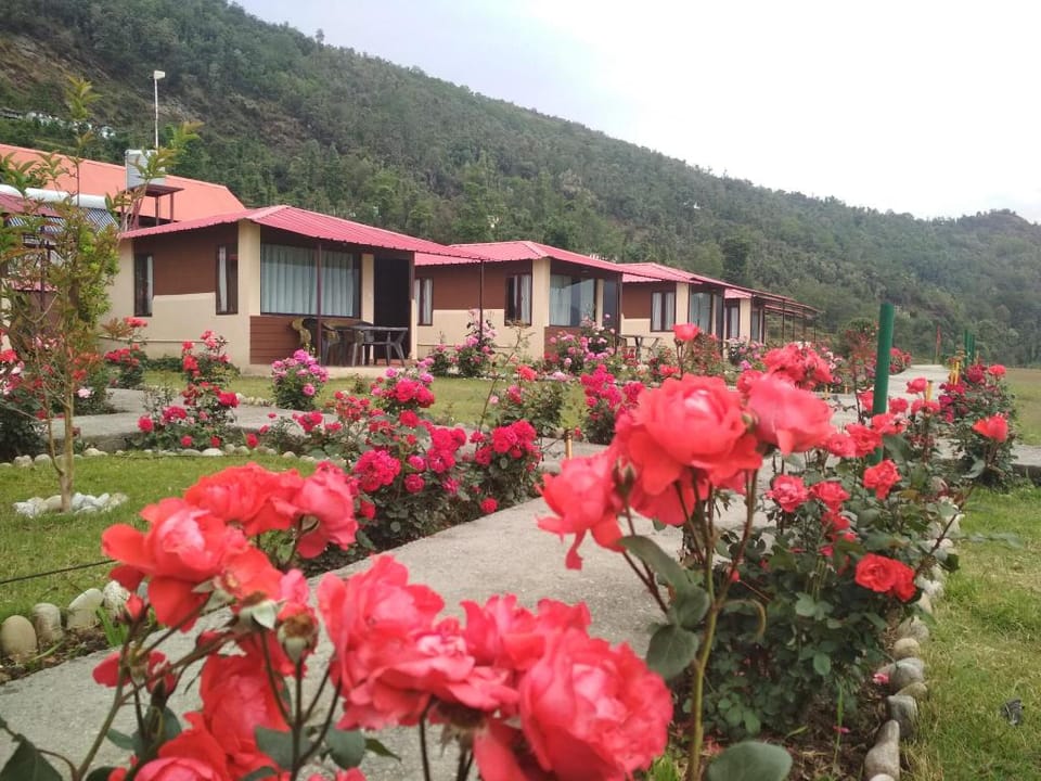 Buransh Heli Resort Hotel in Uttarakhand