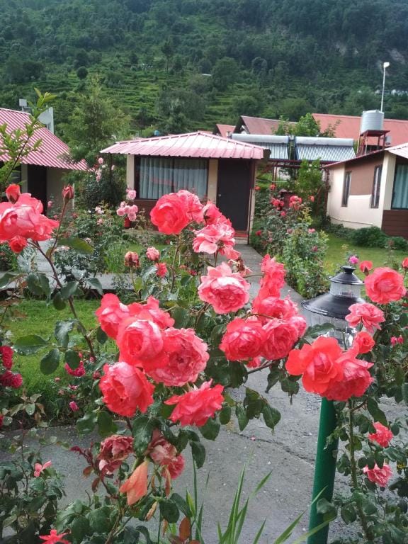 Buransh Heli Resort Hotel in Uttarakhand