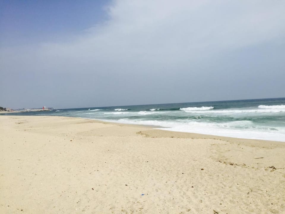 Gangnung SS Pension Bed and Breakfast in South Korea