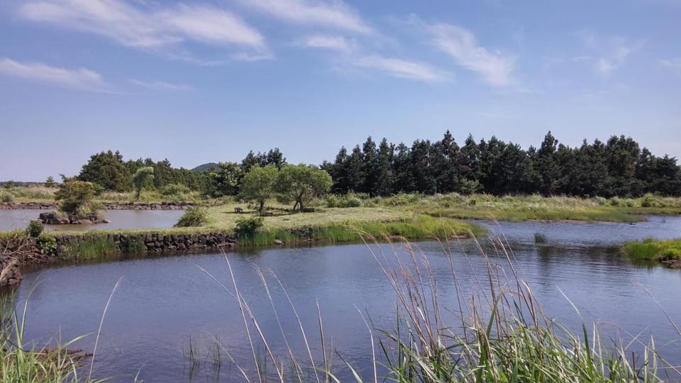 Arting Pension Vacation rental in South Korea