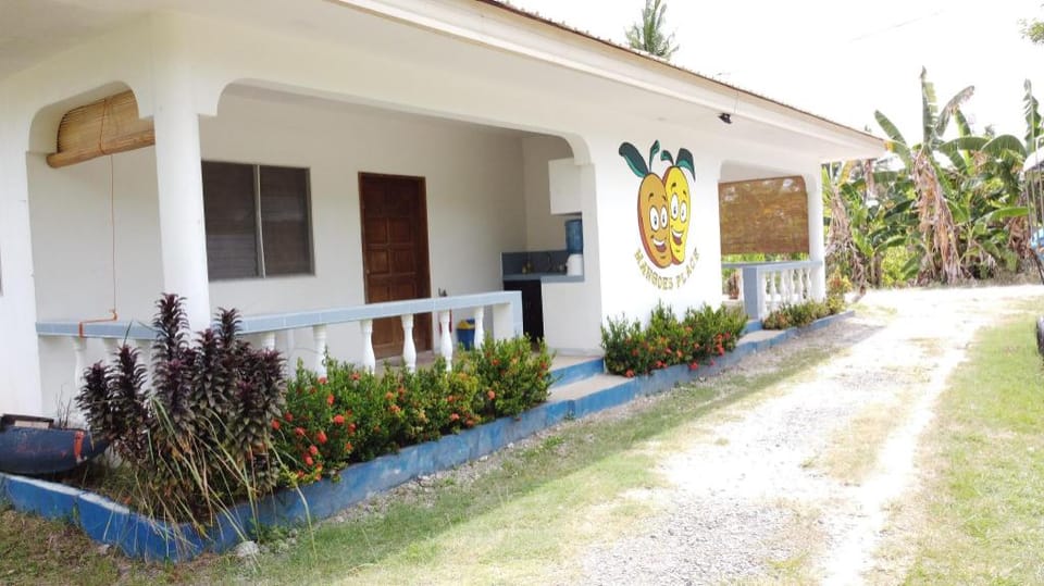 Mangoes Place Apartment in Central Visayas