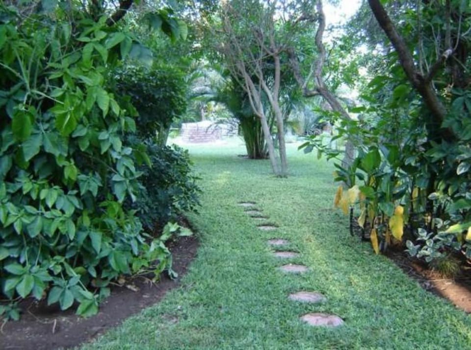 Mist of Gold Vacation rental in South Africa
