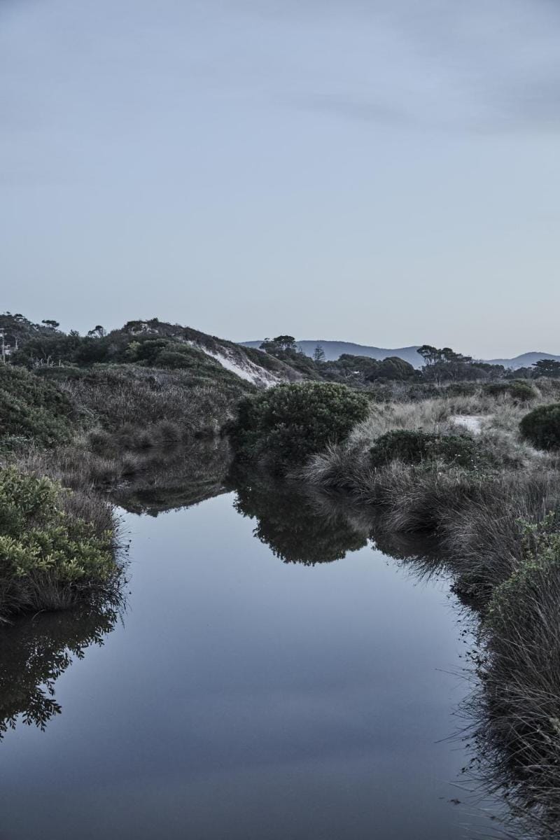 Salt Shack | coastal charm, steps from the surf Vacation rental in Bicheno