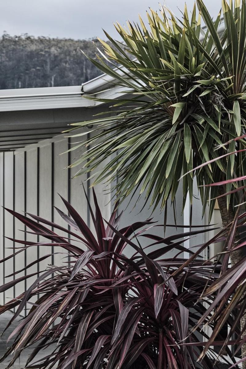 Salt Shack | coastal charm, steps from the surf Vacation rental in Bicheno