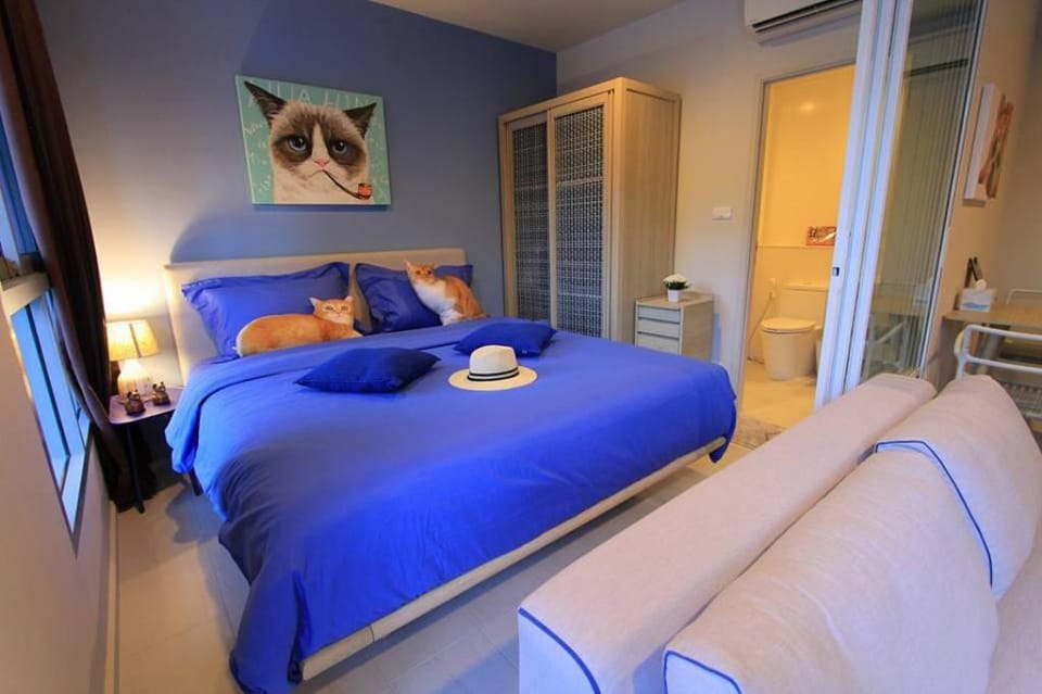 Pool Access "The Cat's Room" Next to Swimming Pool, Big Pool Apartment in Thailand