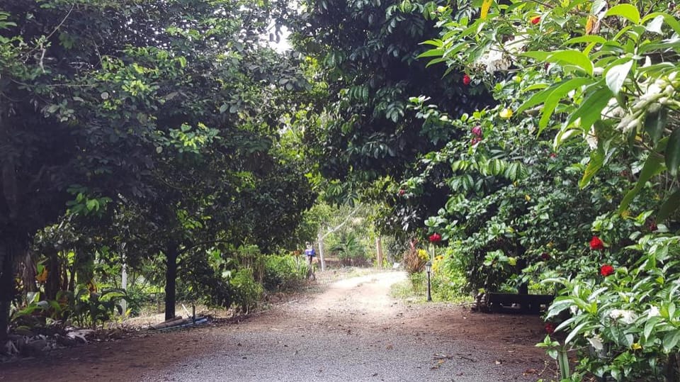 Rabiengdao Garden Homestay Vacation rental in Thailand