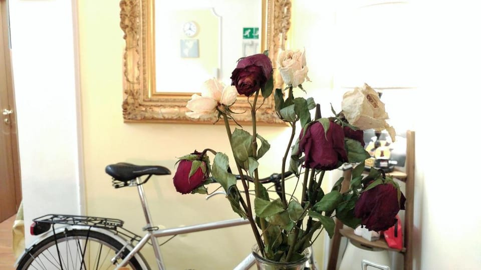 Dreaming Navona Rooms Bed and Breakfast in Rome
