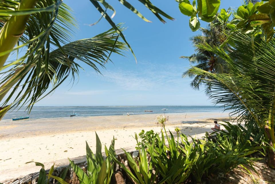 YAMA APARTMENTS - Private Beachfront Apartment in General Luna