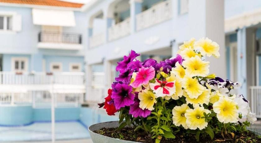 Anna's Studios & Apartments Hotel in Zakynthos, Greece