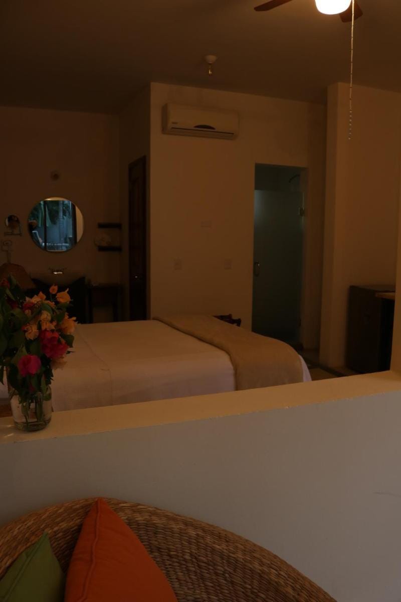 Casa Bugambilias Hotel in Todos Santos