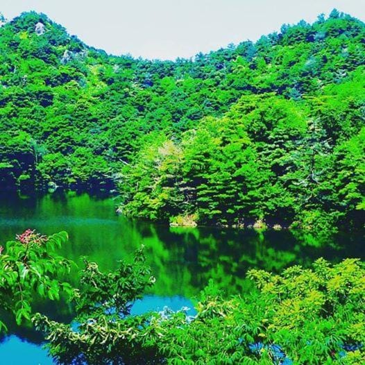 民宿有田 Arita Guesthouse Bed and Breakfast in South Korea