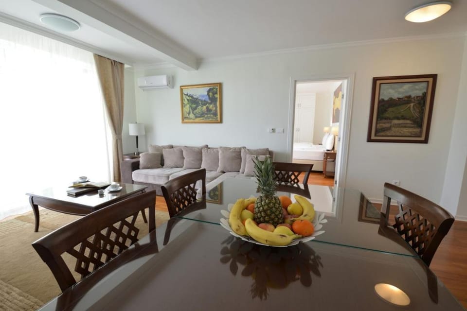 Vila Opera Apartment in Serbia