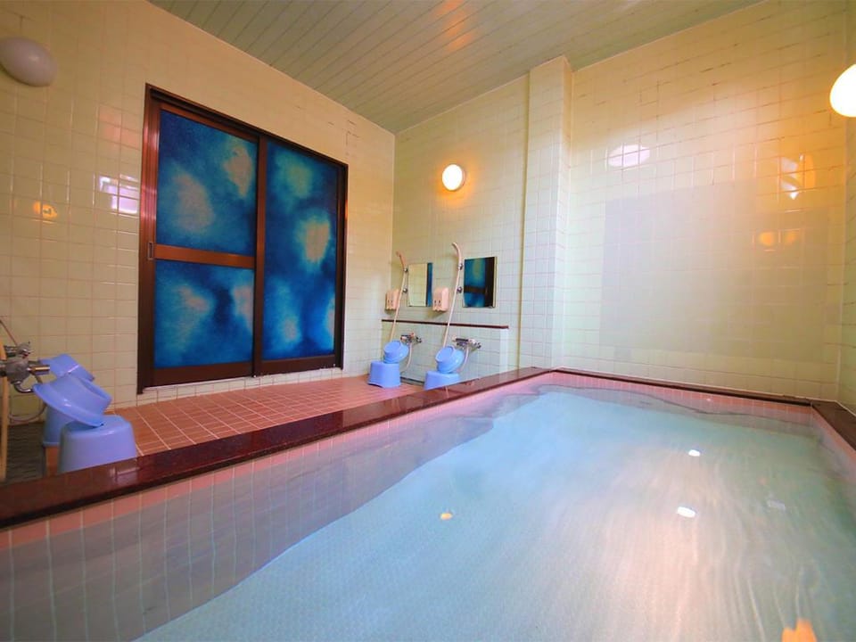 Minsyuku Matsubayashi Hotel in Japan