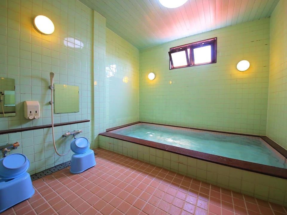 Minsyuku Matsubayashi Hotel in Japan