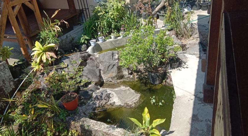 Radiya Guesthouse Bed and Breakfast in West Nusa Tenggara, Indonesia
