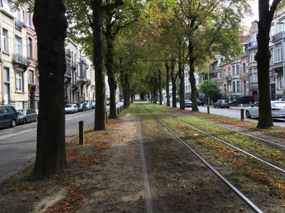 Albert Molière Bed and Breakfast in Brussels