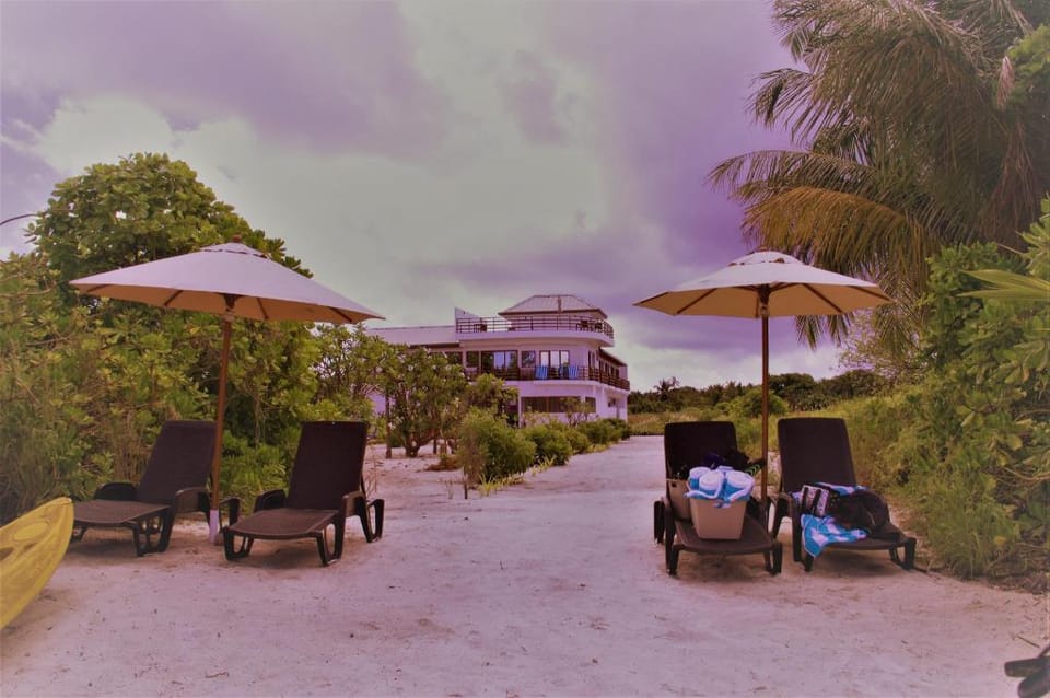 Olive Goidhoo Maldives Hotel in Maldives