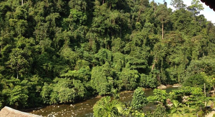 Riverside Guesthouse Bed and Breakfast in Indonesia