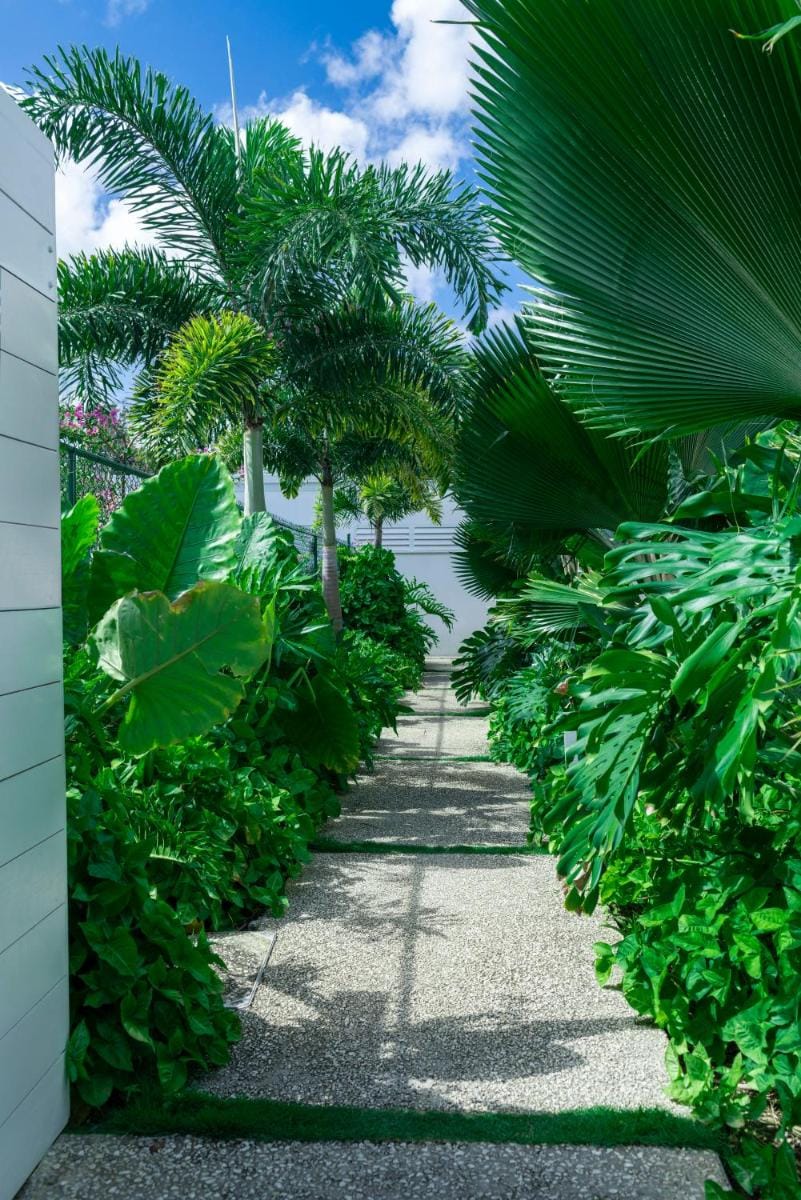 Mullins Grove Apartment hotel in Saint James