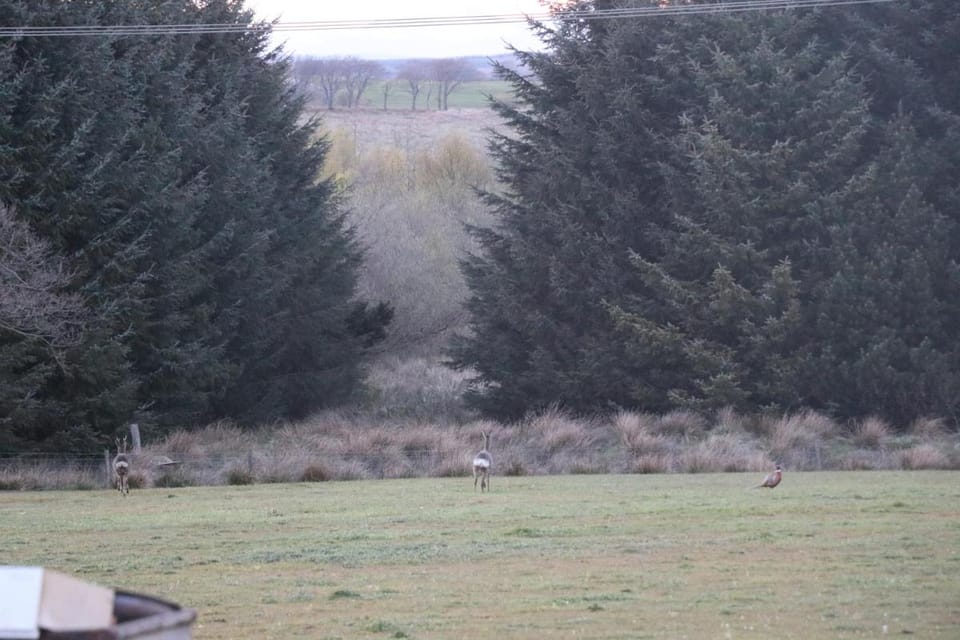 Blairmains Guest House Bed and Breakfast in Scotland