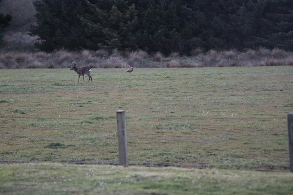 Blairmains Guest House Bed and Breakfast in Scotland