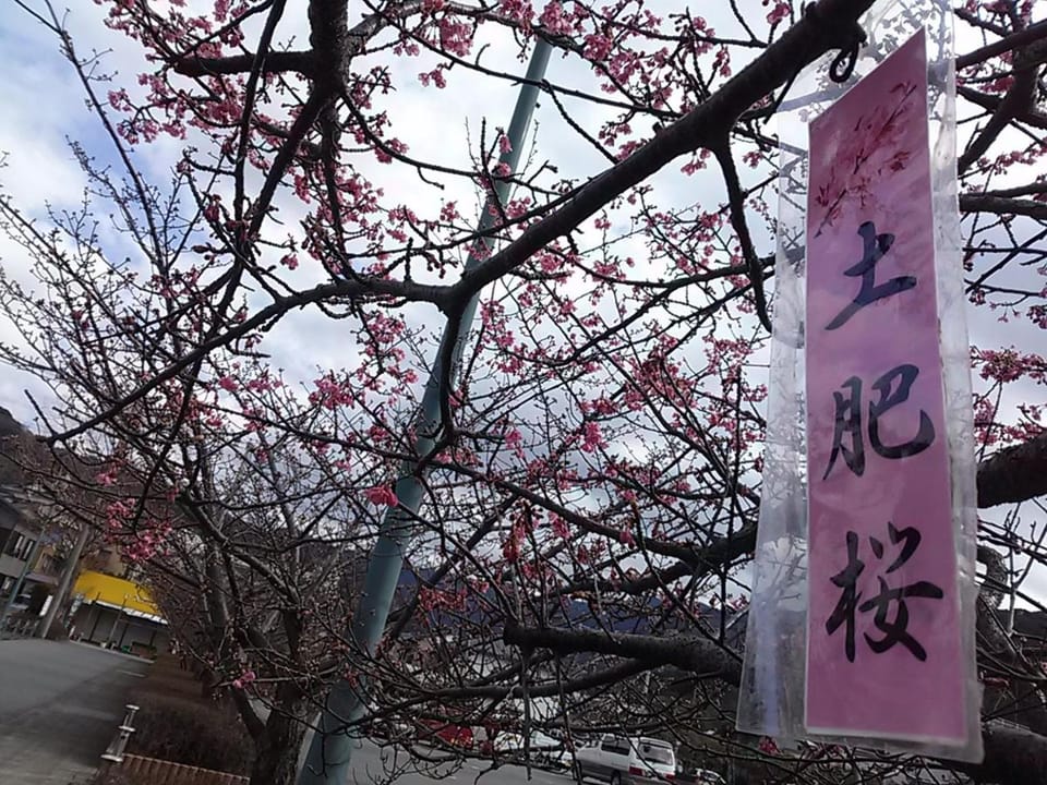 Koibito Misaki Pension Marine Mates Resort in Shizuoka Prefecture