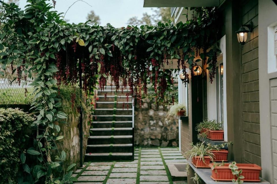 Luxury rooms - The Umber Tea Family Cottage Hotel in Kerala