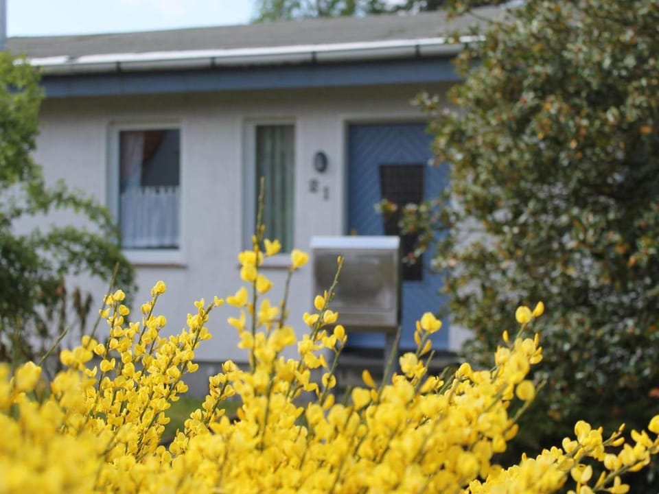 Ruhiges Ferienhaus in Zingst Urlaub nahe am Strand Vacation rental in Zingst