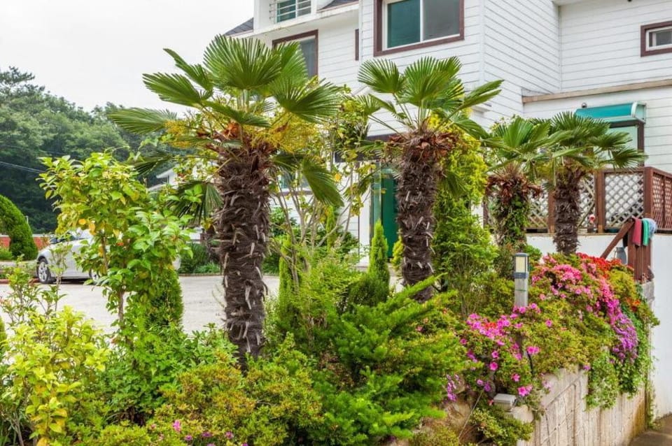 Mulbit Hanul Bed and Breakfast in South Korea