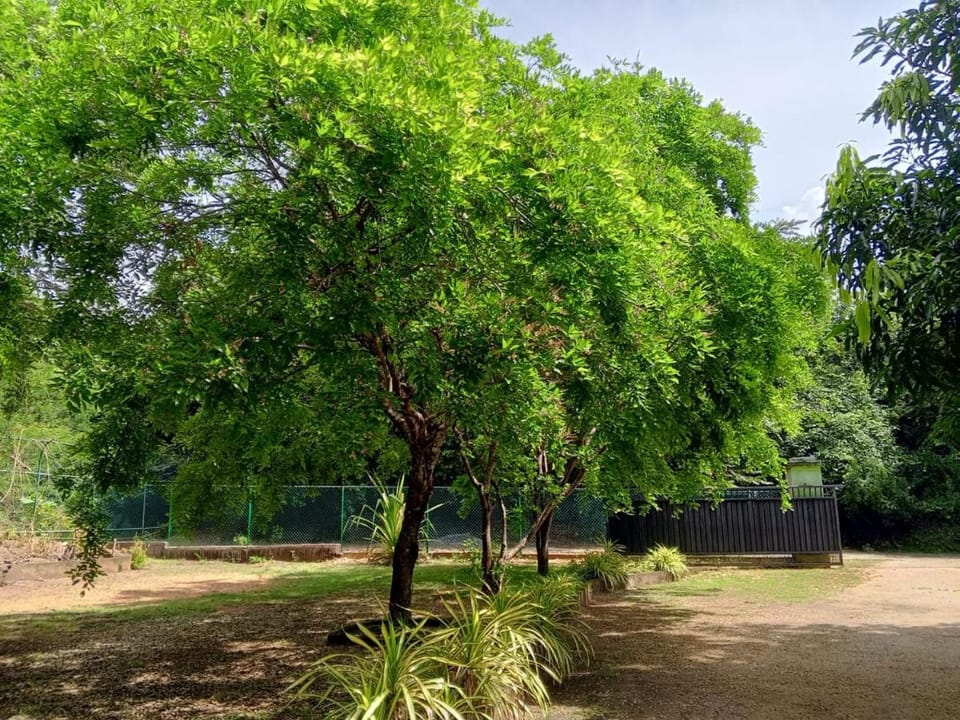 Deer Garden Guest Hotel in Central Province