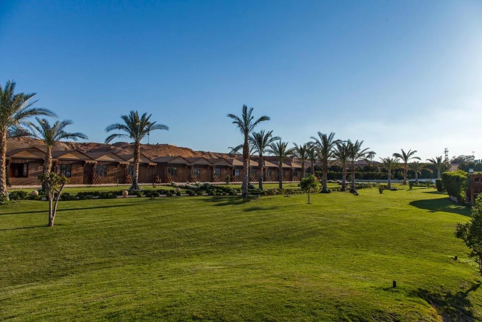 Xperience Golden Sandy Beach Resort in South Sinai Governorate