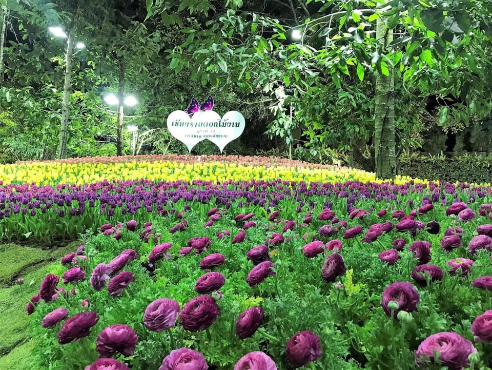 Bann Tawan Hostel Chiang Rai Hostel in Thailand