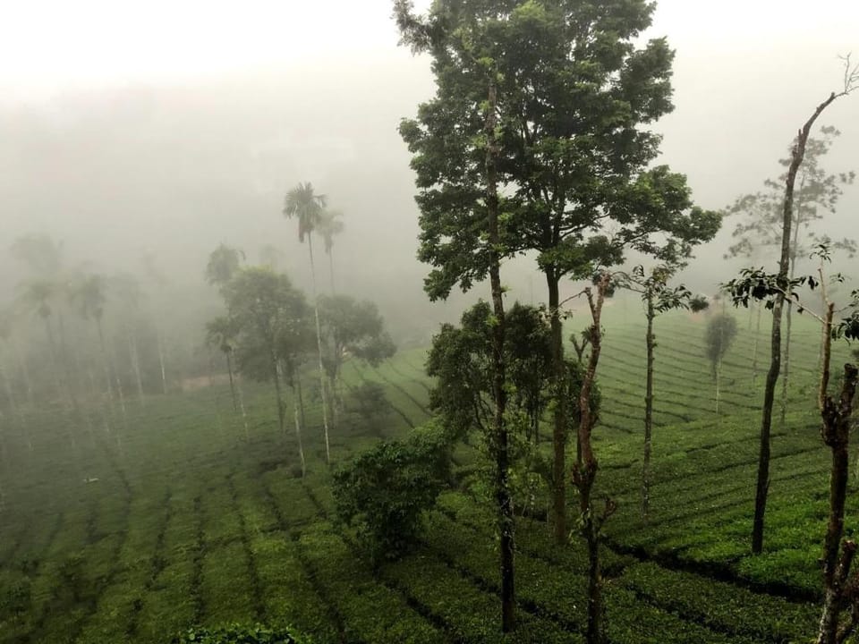 Vythiri Stream View Hotel in Kerala