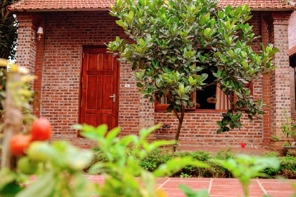 Ninh Binh Friendly Homestay Vacation rental in Laos