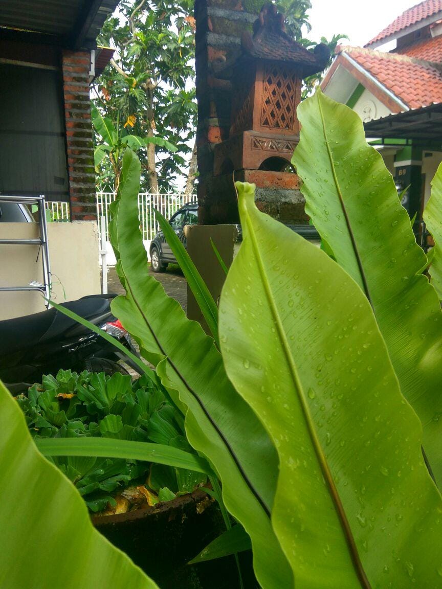 RM HOUSE 1  BUGISAN 5minutes Malioboro EntireHouse Vacation rental in Yogyakarta