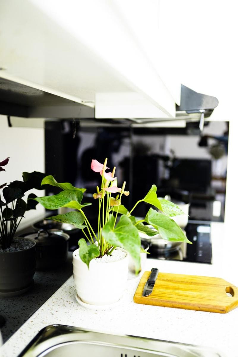 Hometel Newlife Ha Long Apartment in Laos