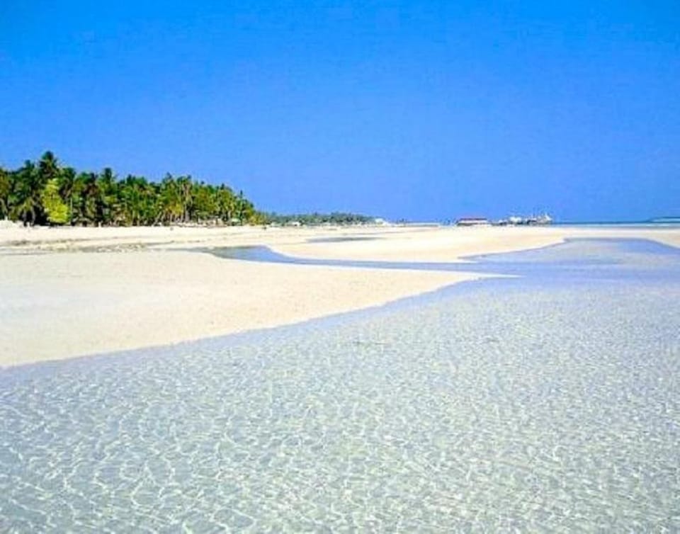 Stevrena Accommodations ( family cottage ) Vacation rental in Central Visayas