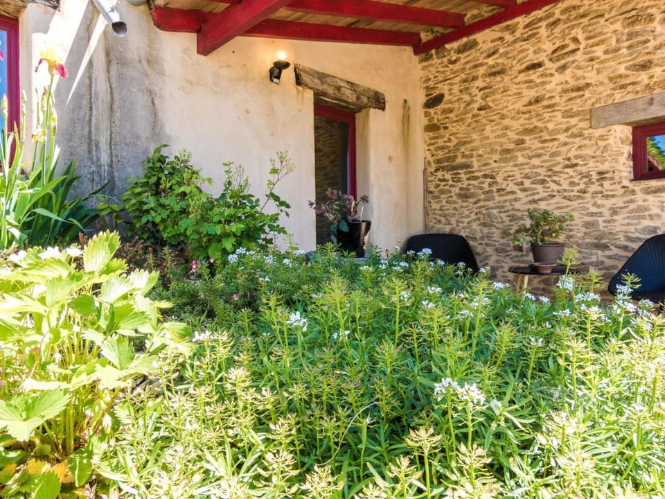 Holiday home in Altillac with private pool Vacation rental in Occitanie