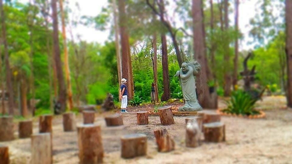 Springwood Meditation Centre 春木禪修渡假中心 Resort in Brisbane