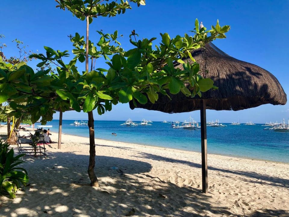 Lionfish Backpackers Malapascua Hotel in Central Visayas