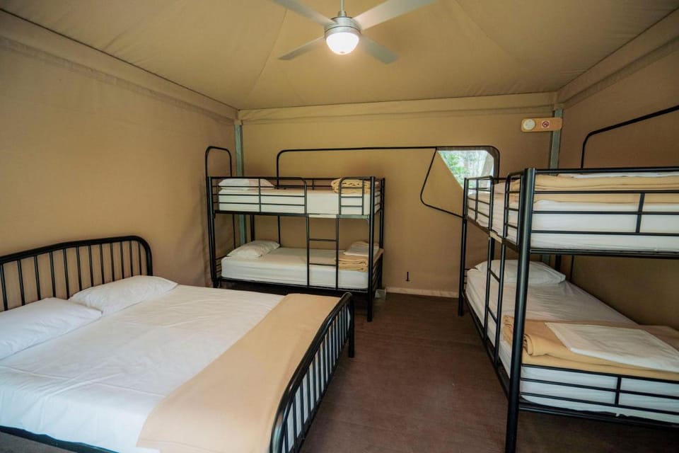Habitat Noosa Luxury tent in Noosa Shire