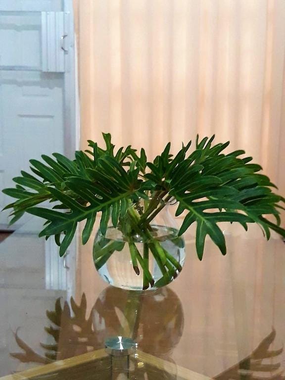 Perfect Home Chiang Mai, Lino House | Inc shuttles Vacation rental in Chiang Mai