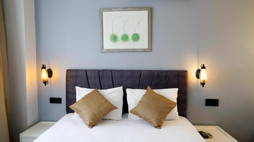 Frond Door Suites Hotel in Istanbul