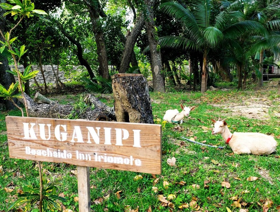 Kuganipi Beachside Inn Iriomote Apartment in Okinawa Prefecture