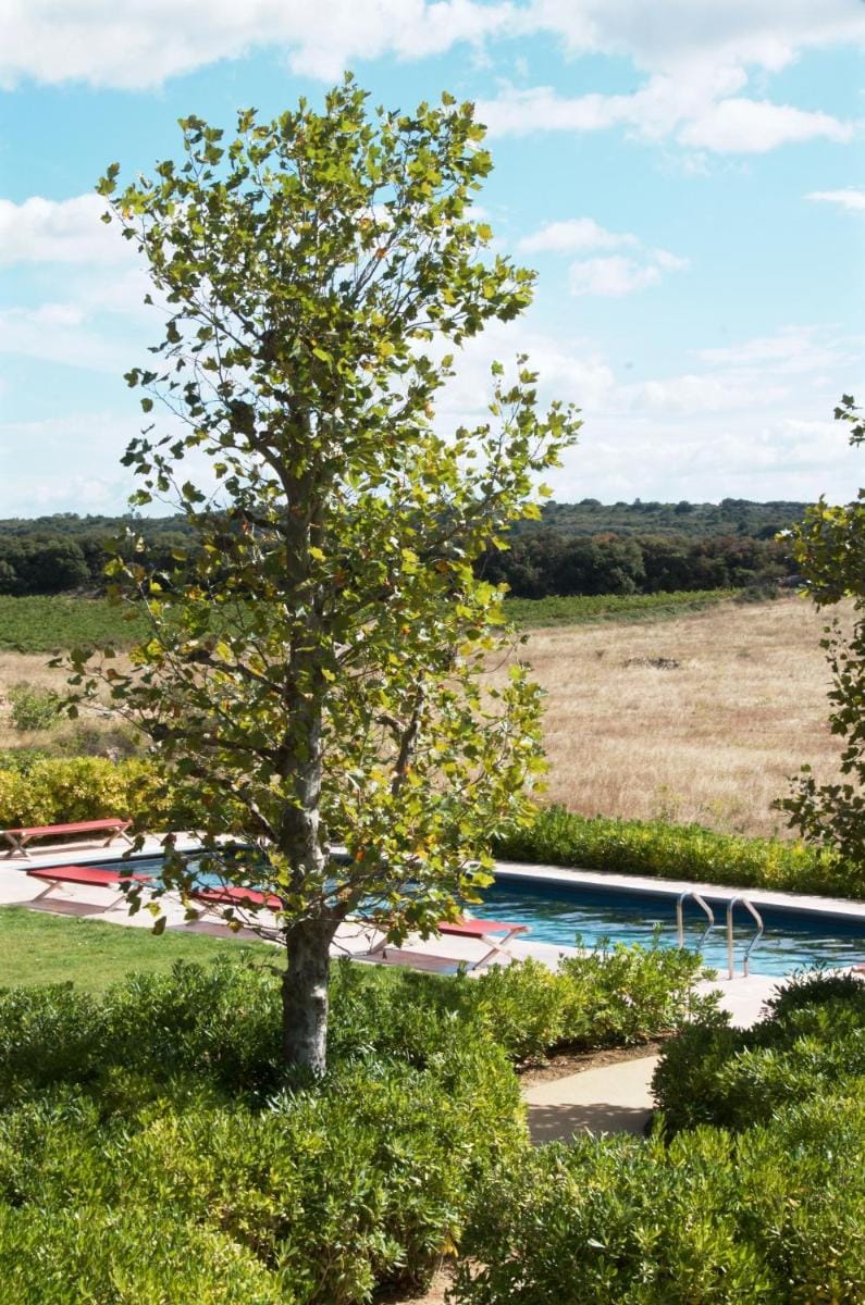 Village Castigno - Wine Hotel & Resort Hotel in Occitanie
