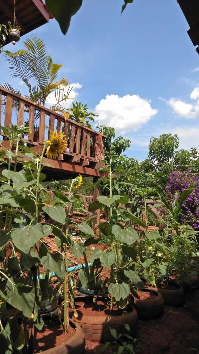 Ratanak Tep Rithea homestay Vacation rental in Cambodia