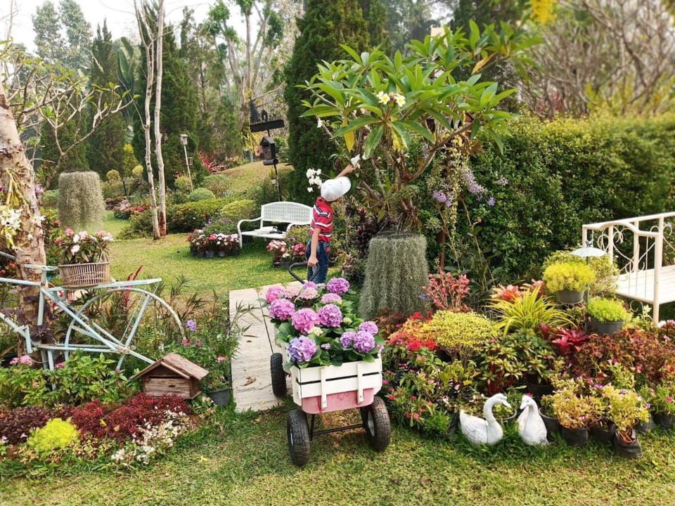 Baan JaoKorKluay บ้านเจ้ากอกล้วย Bed and Breakfast in Thailand