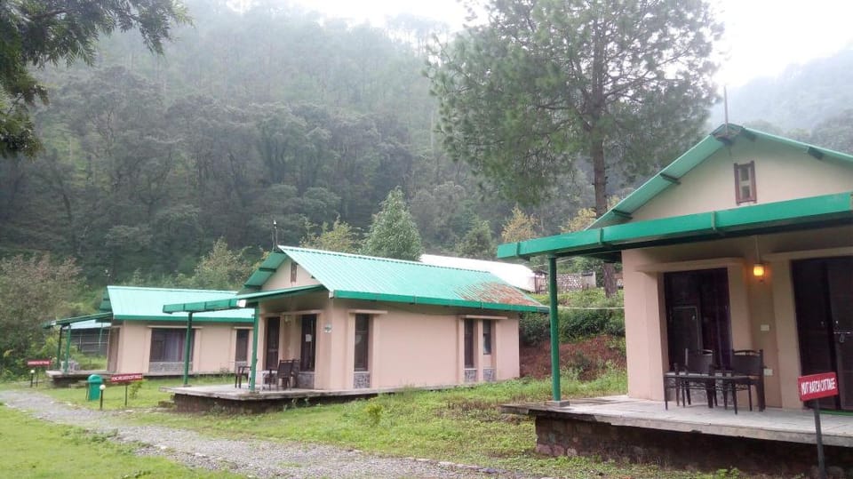 YMCA Campsite Sattal Luxury tent in Uttarakhand