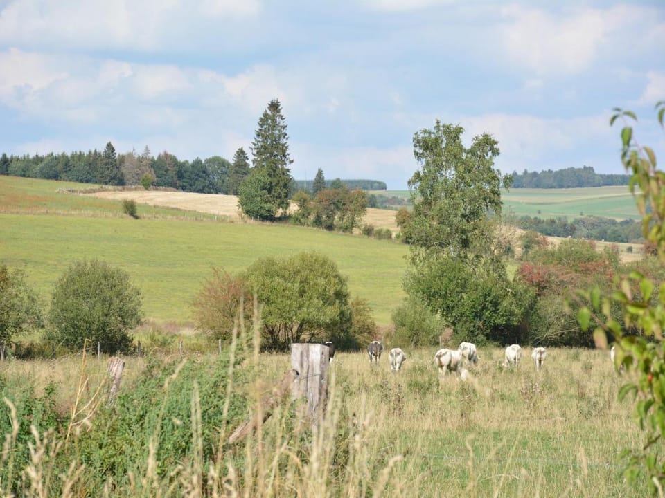 Beautiful Ardennes house in quiet area Vacation rental in Wallonia, Belgium
