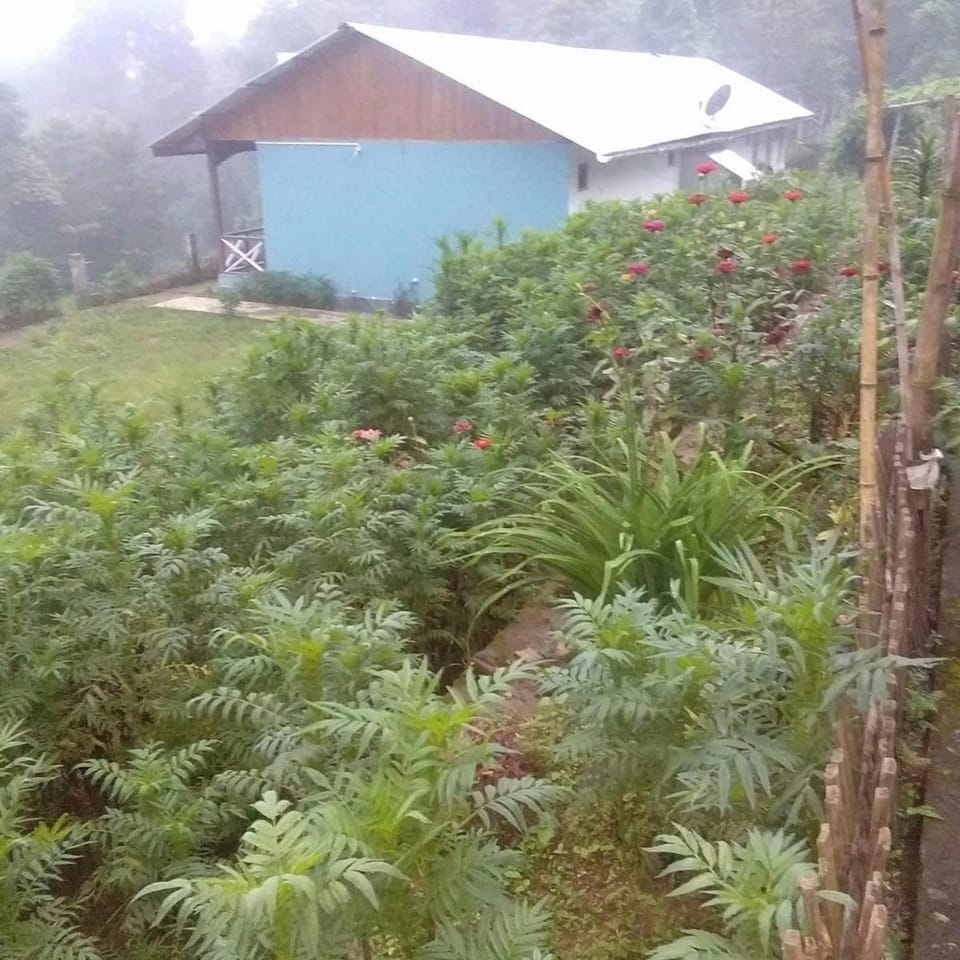Sai Lakshmi Homestay Vacation rental in West Bengal